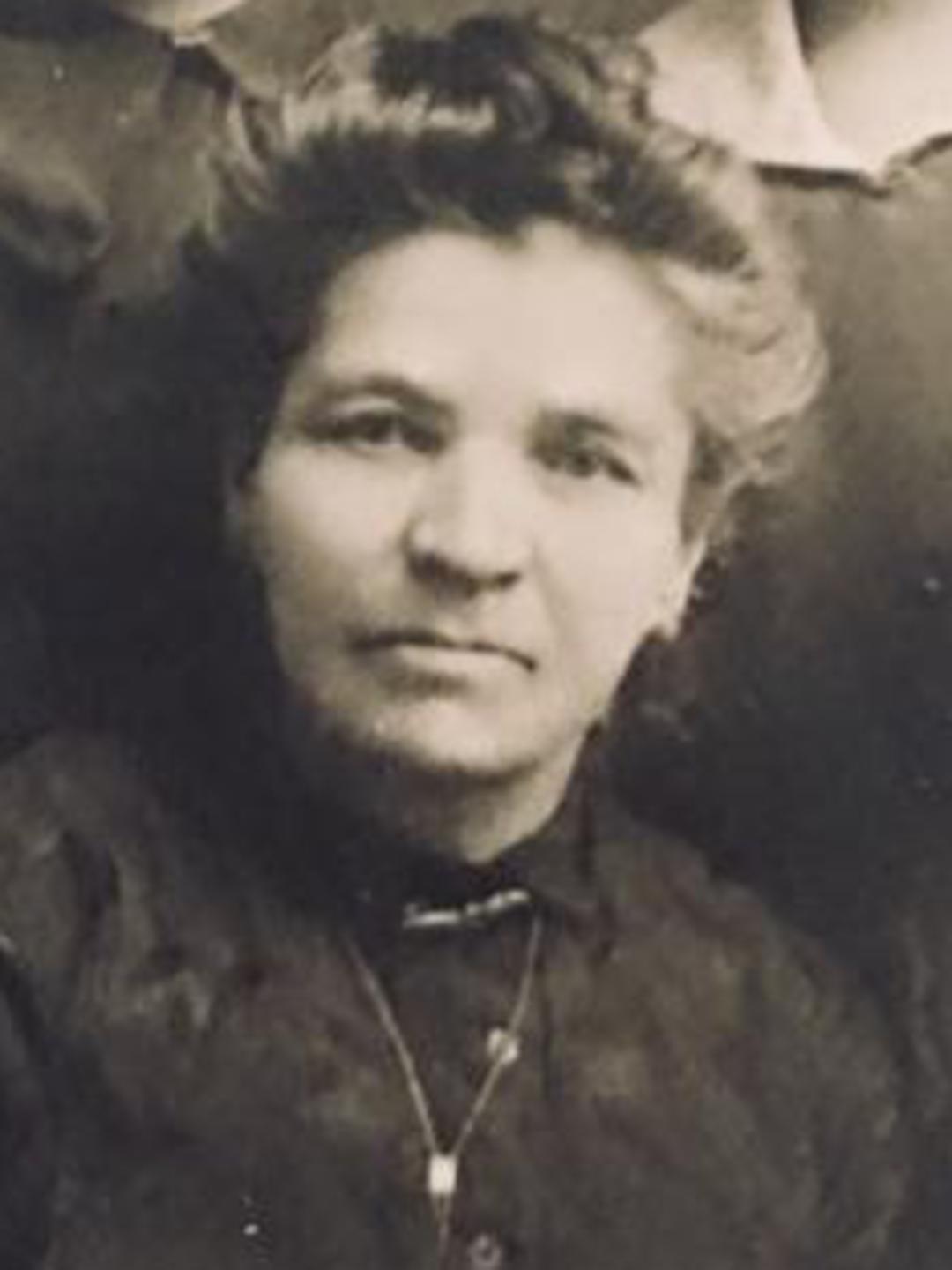 Sarah Selenah Leicht (1852 - 1936) Profile